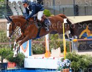 DEL CISTIA DEAUVILLE CampITA2013- S5 0587 : Campionati Italiani 2013, Cattolica, DEAUVILLE B.B., DEL CISTIA MARCO, Horse Riviera Resort, foto di Stefano Secchi ©